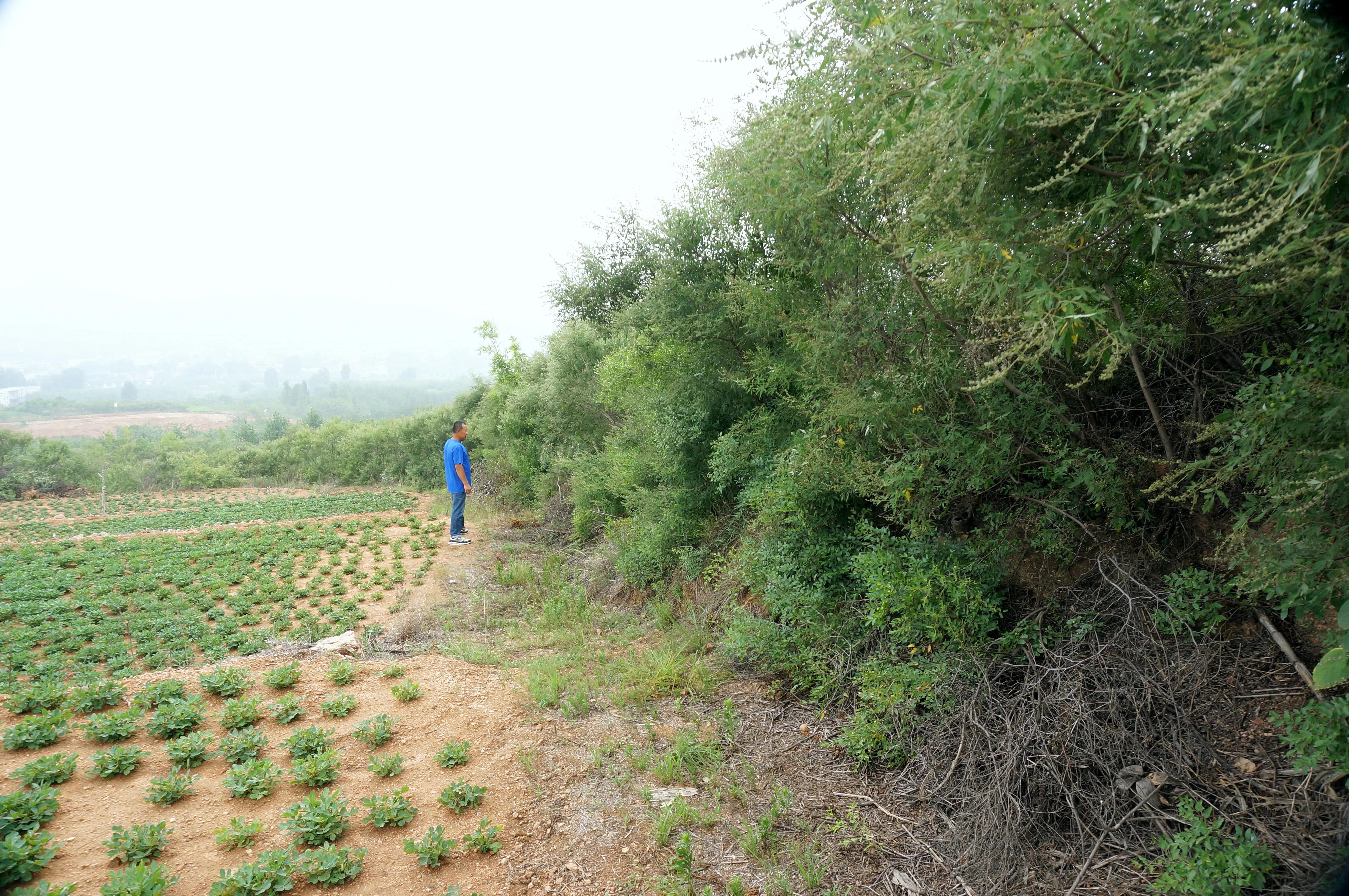 双泉镇小马山“土龙”的历史谜团