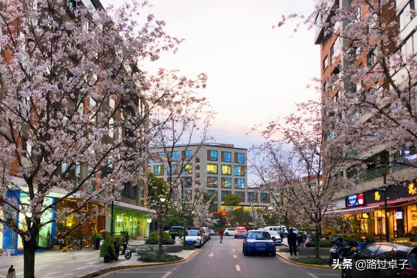 上海地铁旅游景点攻略,上海地铁打卡攻略