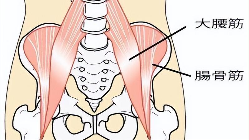腰肌劳损导致腰疼最快缓解方法,腰肌劳损缓解腰痛的最佳动作
