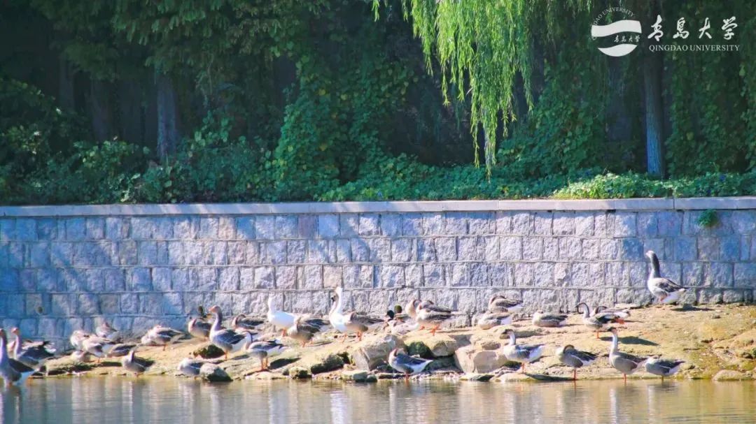 山东高考志愿填报最好专业,山东高考志愿填报专业及录取