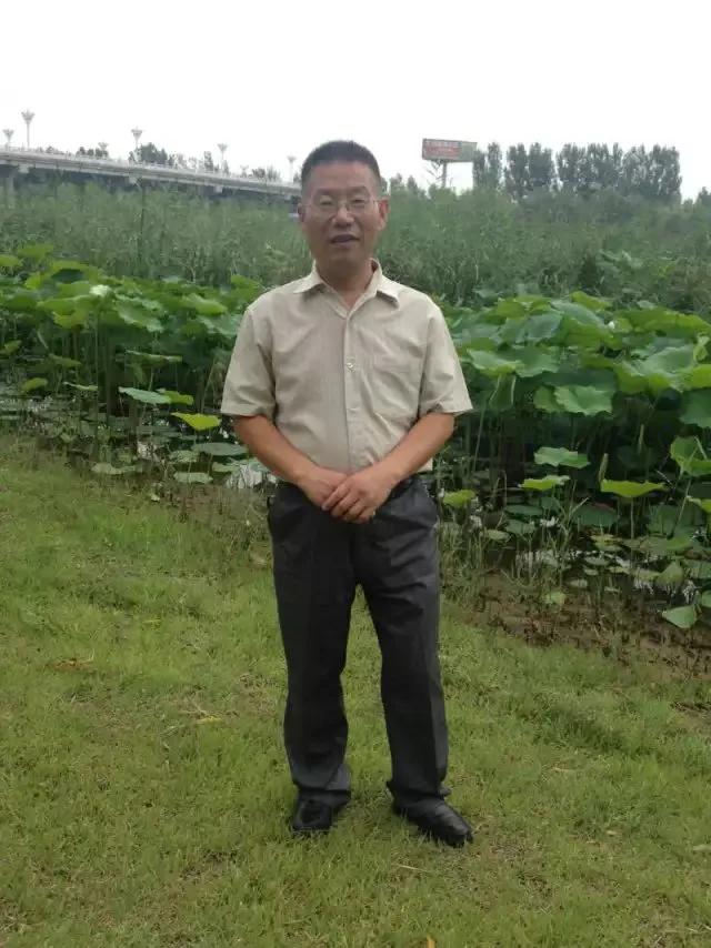 德州减河湿地公园一日游攻略,德州减河湿地公园游览记