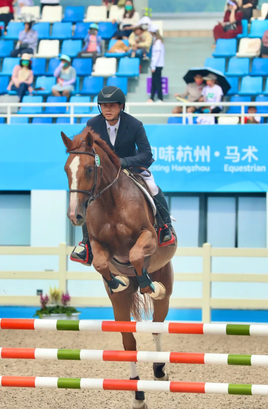 椹湳濂ヨ繍椤圭洰,椹湳涓撲笟鍦洪
