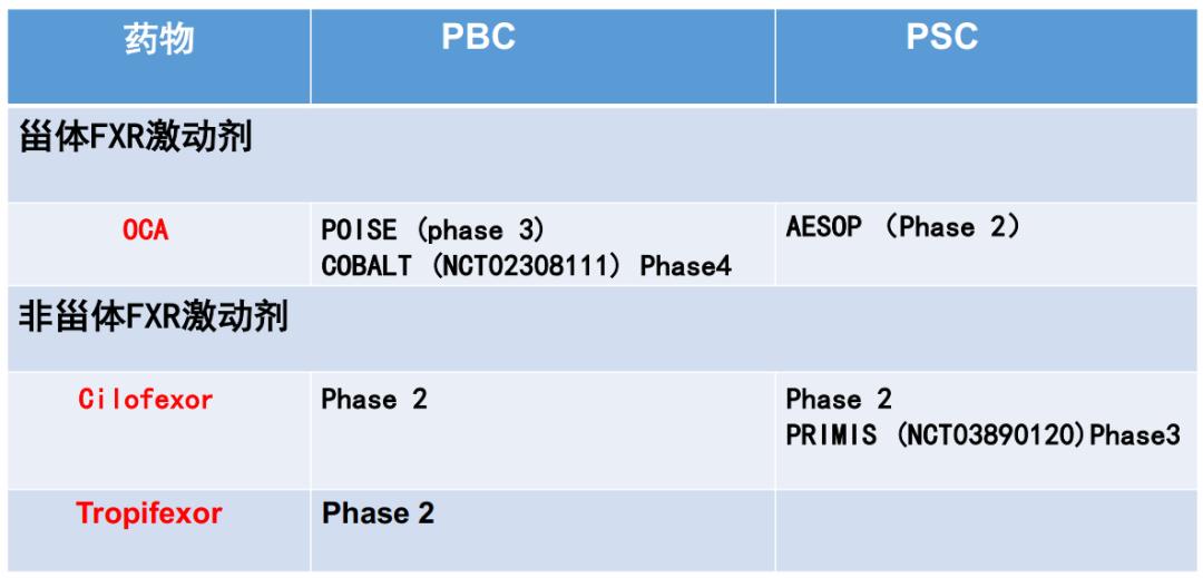 段维佳教授：谈肝论道，细说PBC与PSC的新药研发进展