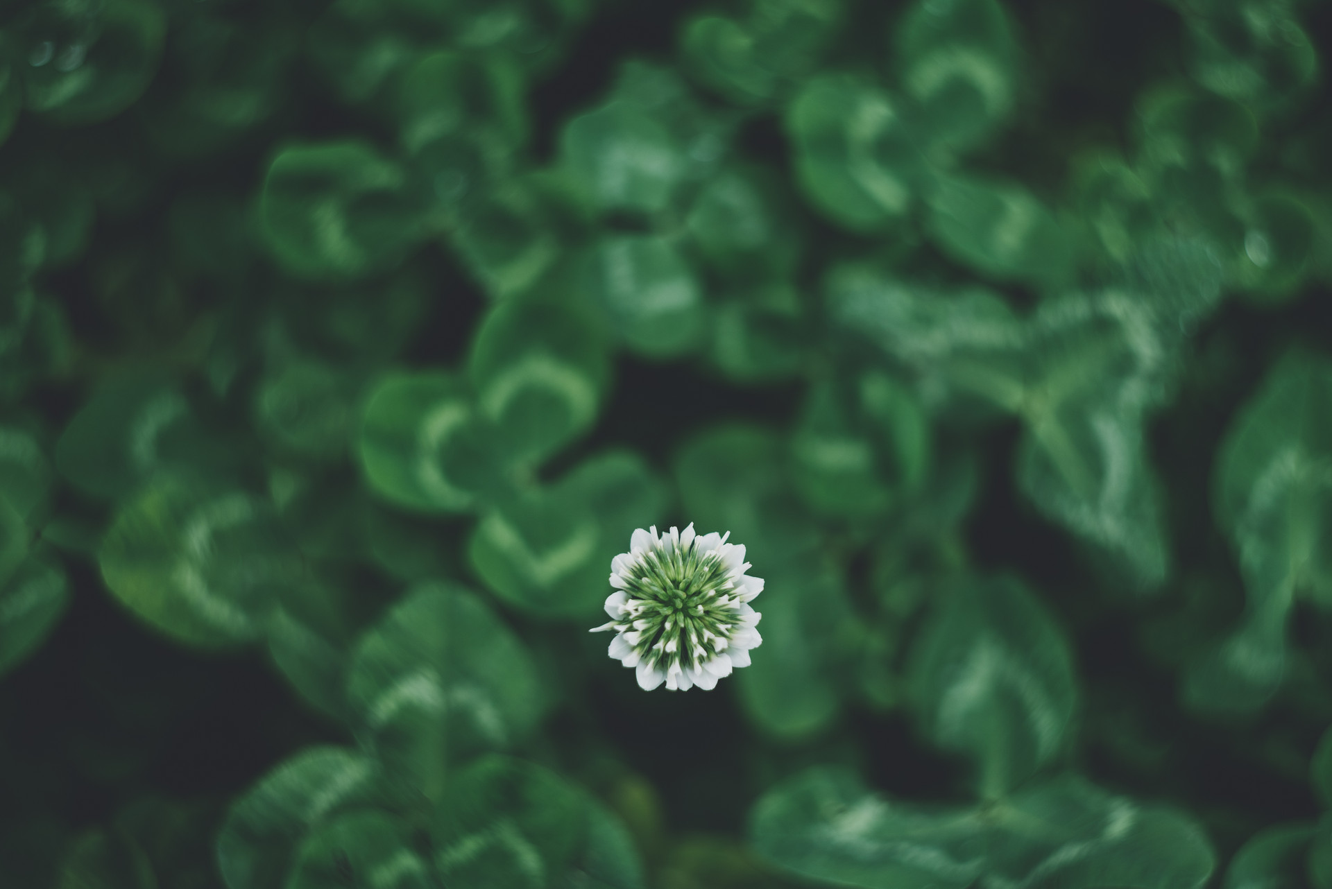 遭人陷害时，别急着撕破脸，先做好三件事