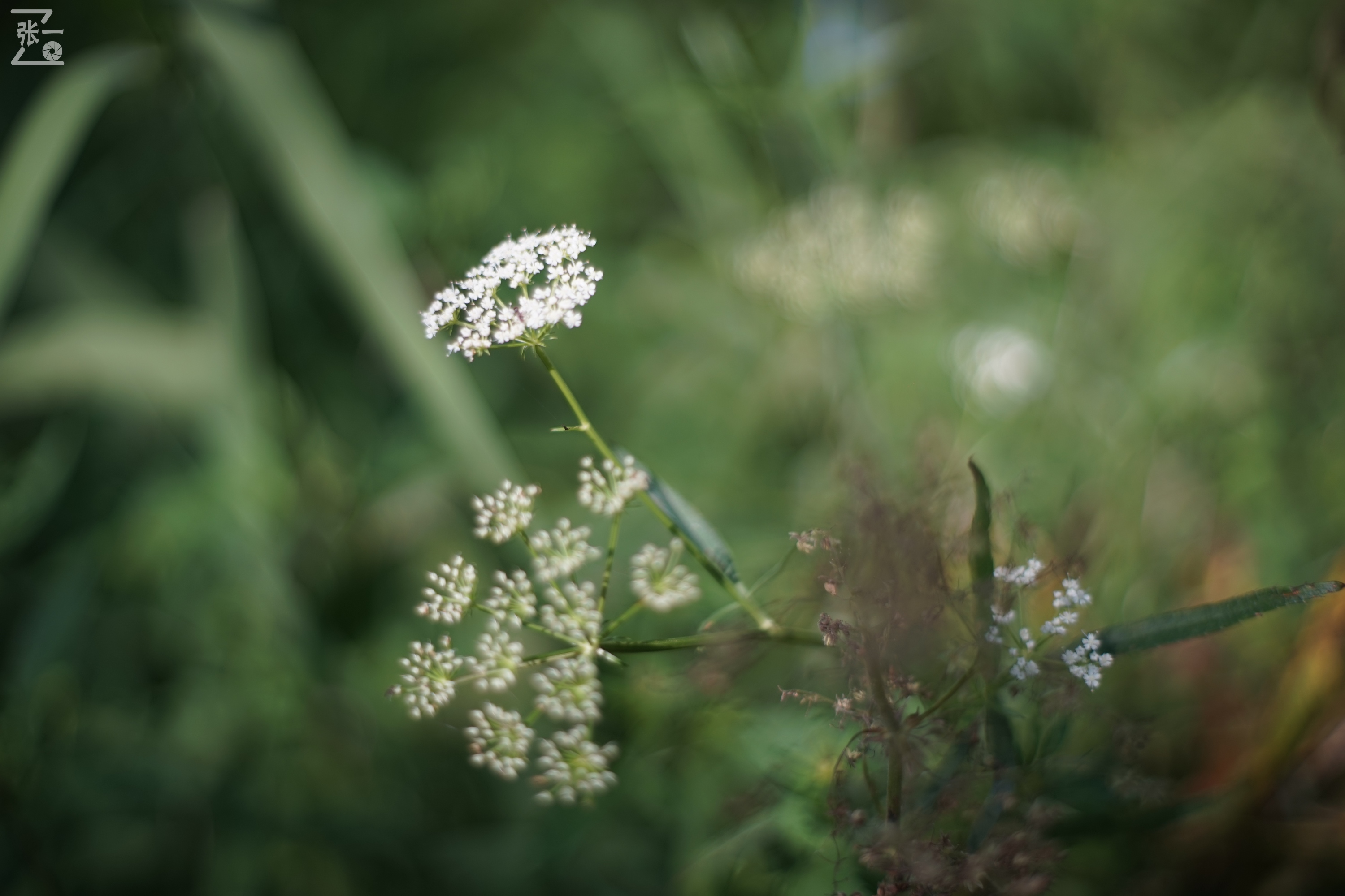 老镜头实拍,老镜头拍北京