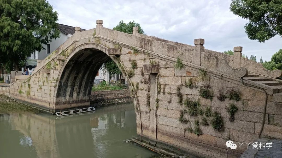 金泽古镇的古桥,金泽古镇各个桥介绍