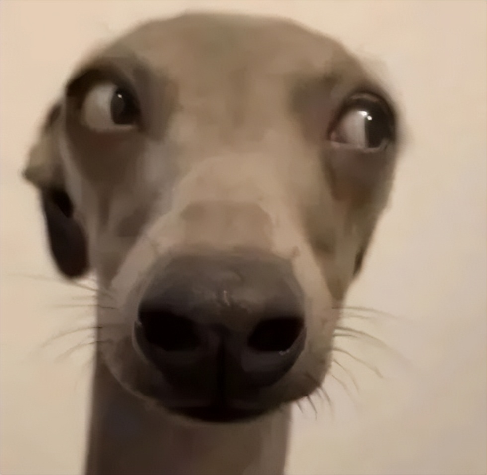 隔壁友商影像旗舰一台接一台，小米呢？