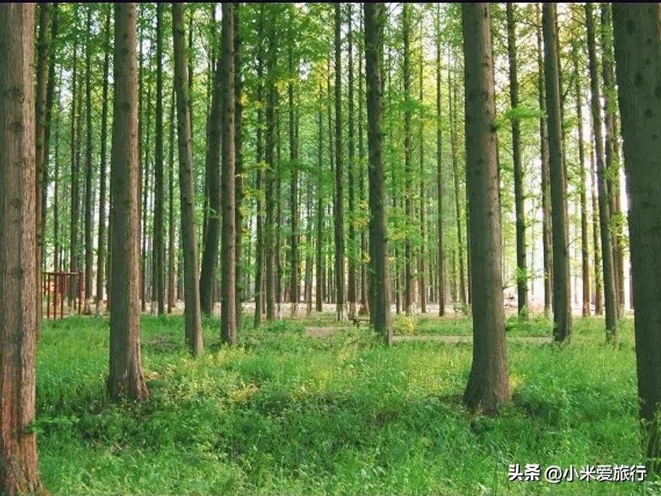 4天山东旅游攻略最全最好的线路,山东沿海自驾游最佳路线图