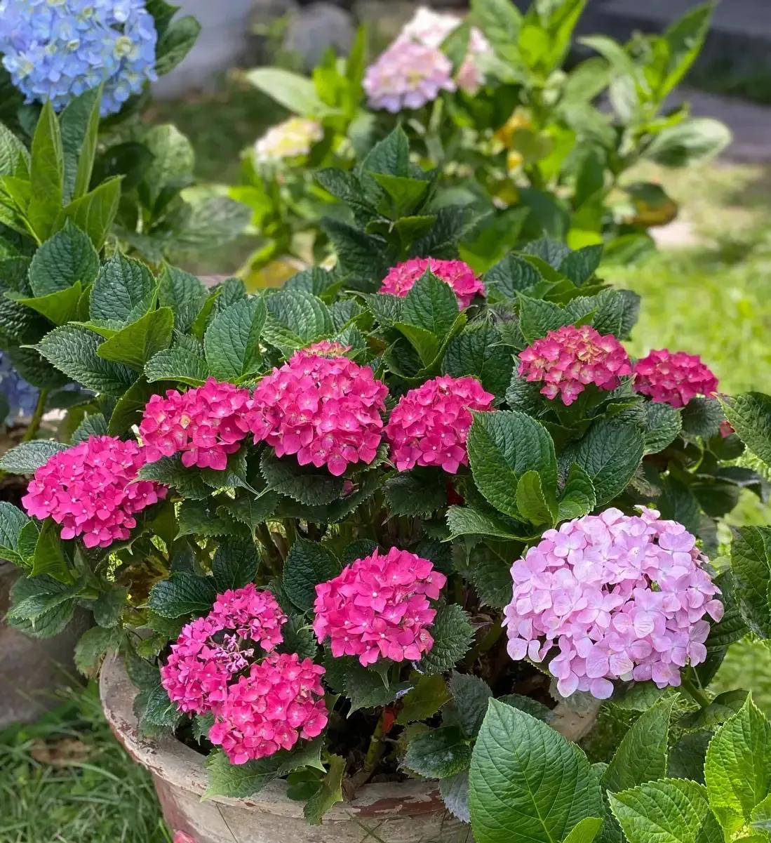 六年级数学复习（2）