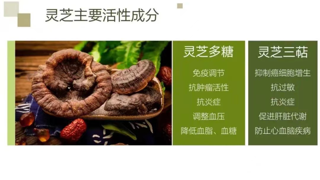 骨折主动康复,骨折后人体自愈力