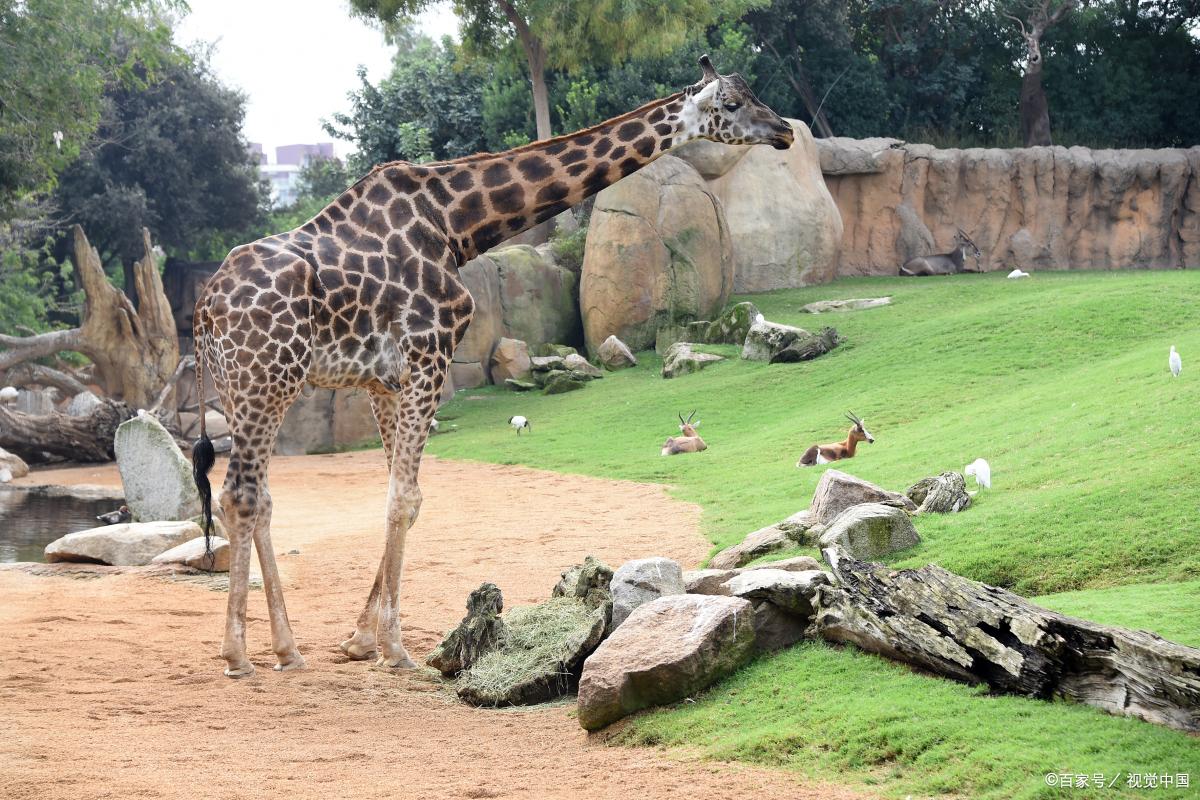 济南近郊旅游景点top10,济南市必去的景点推荐