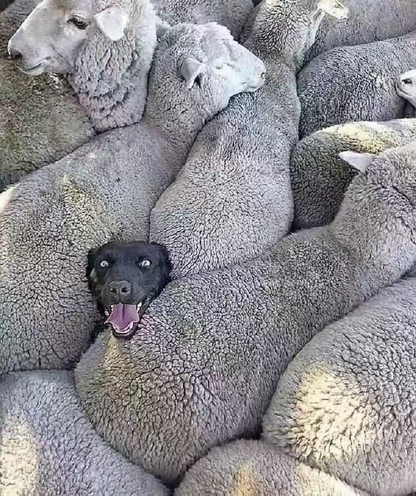 同事阳性怎么办,同事病了该怎么说话