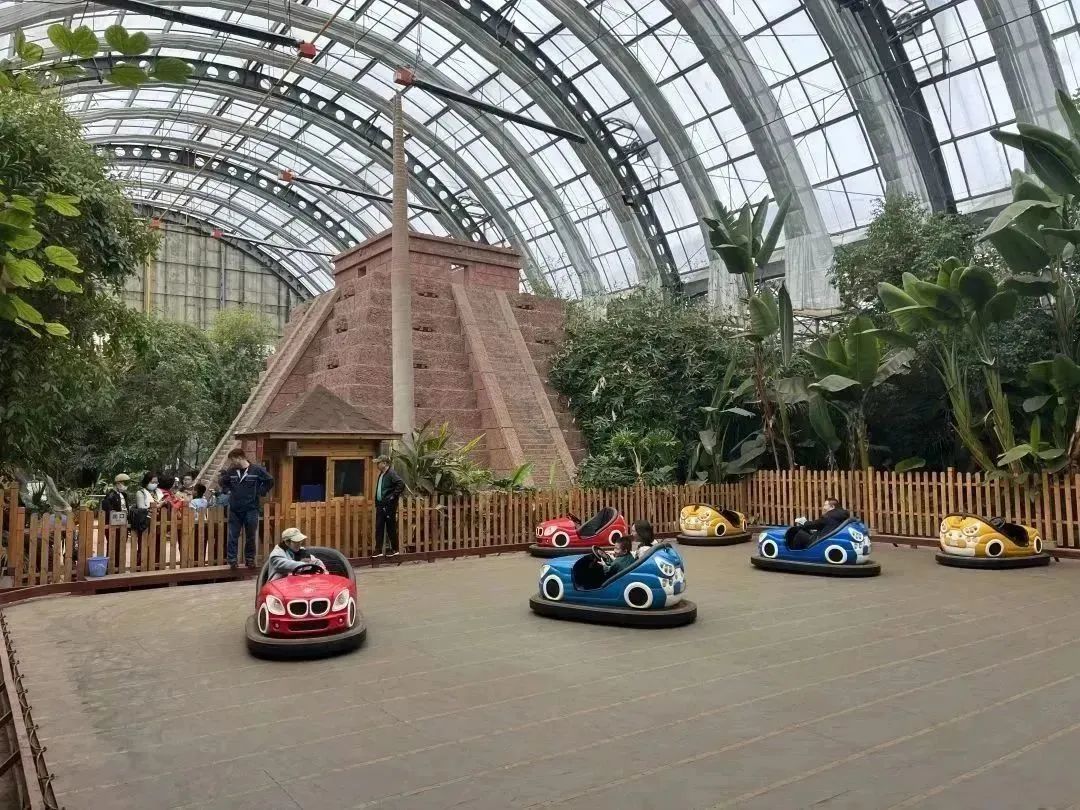 天津房车公园露营基地,一张天幕露营