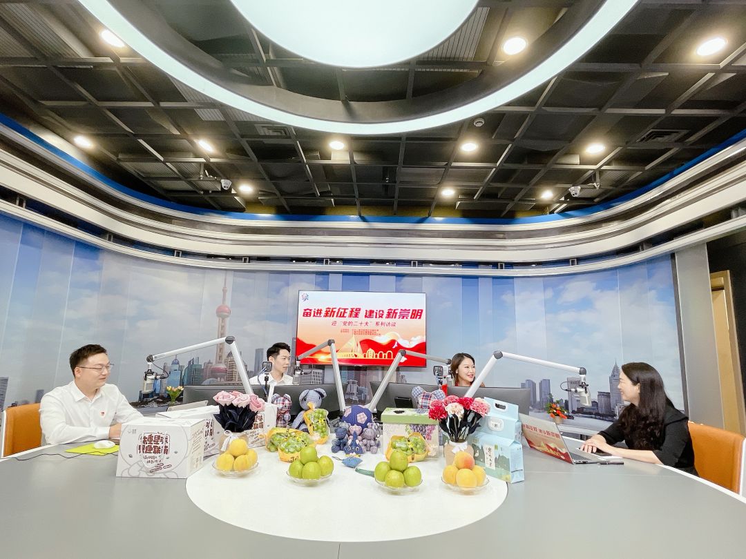 崇明智慧小镇,崇明小镇