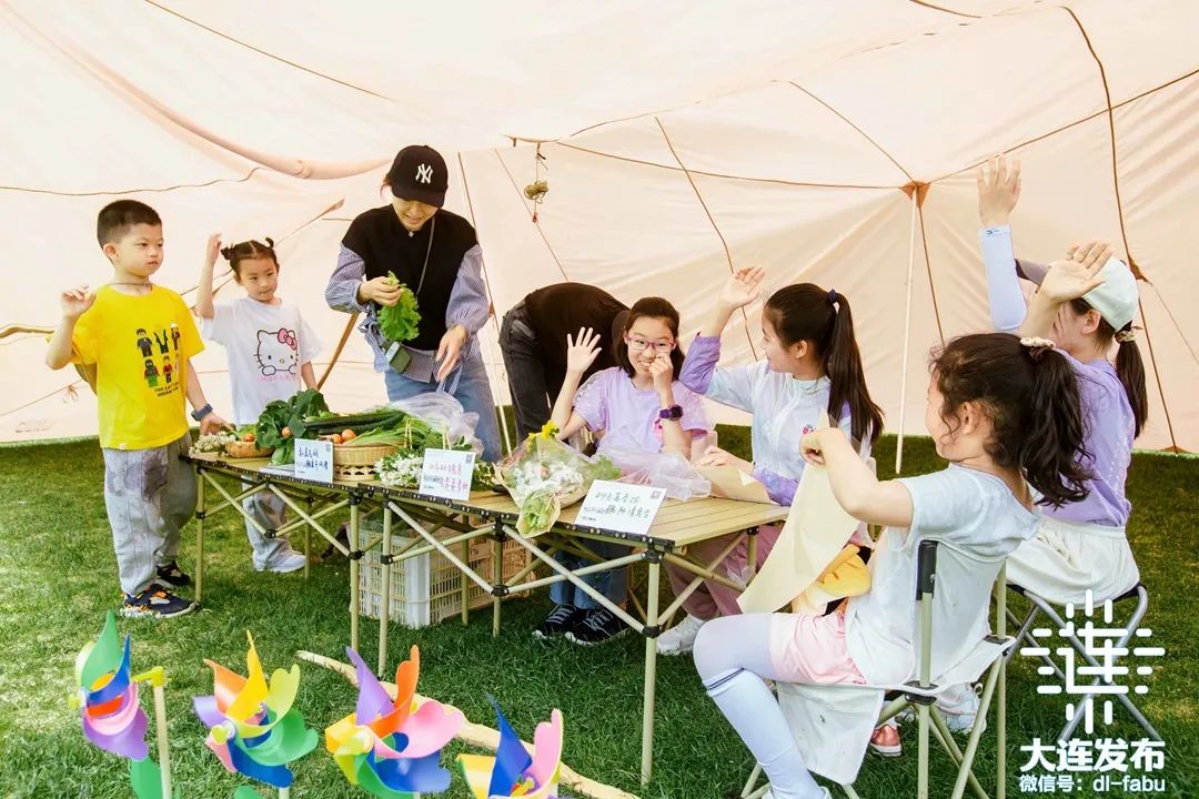 大连槐花香景点,大连槐花季美景