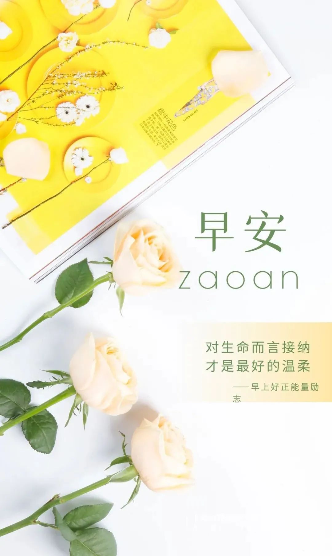 关于国家公祭日的励志短句,公祭日适合发的语录图片