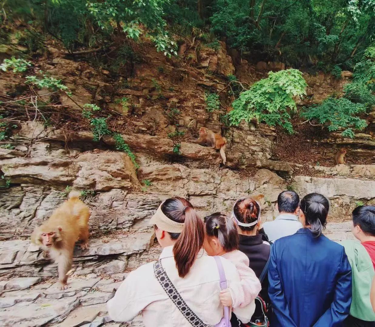 山西晋城蟒河自然风景保护区,青山绿水山西蟒河