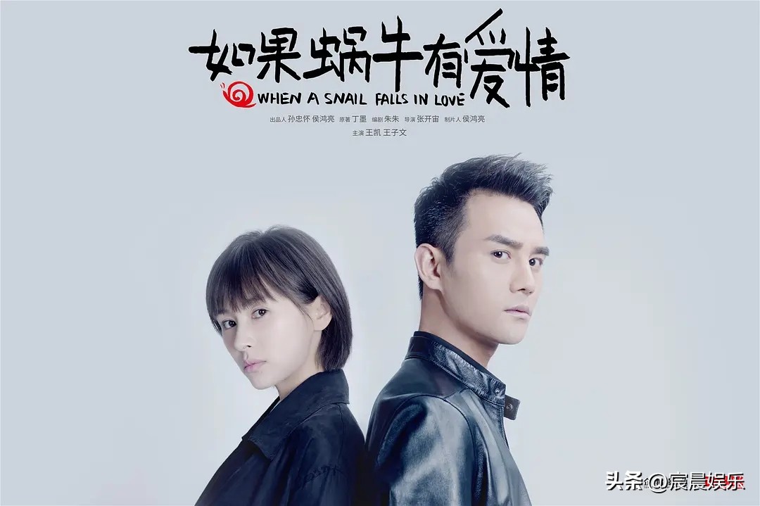 冷门高分国产悬疑网剧,最值得看的五部悬疑网剧