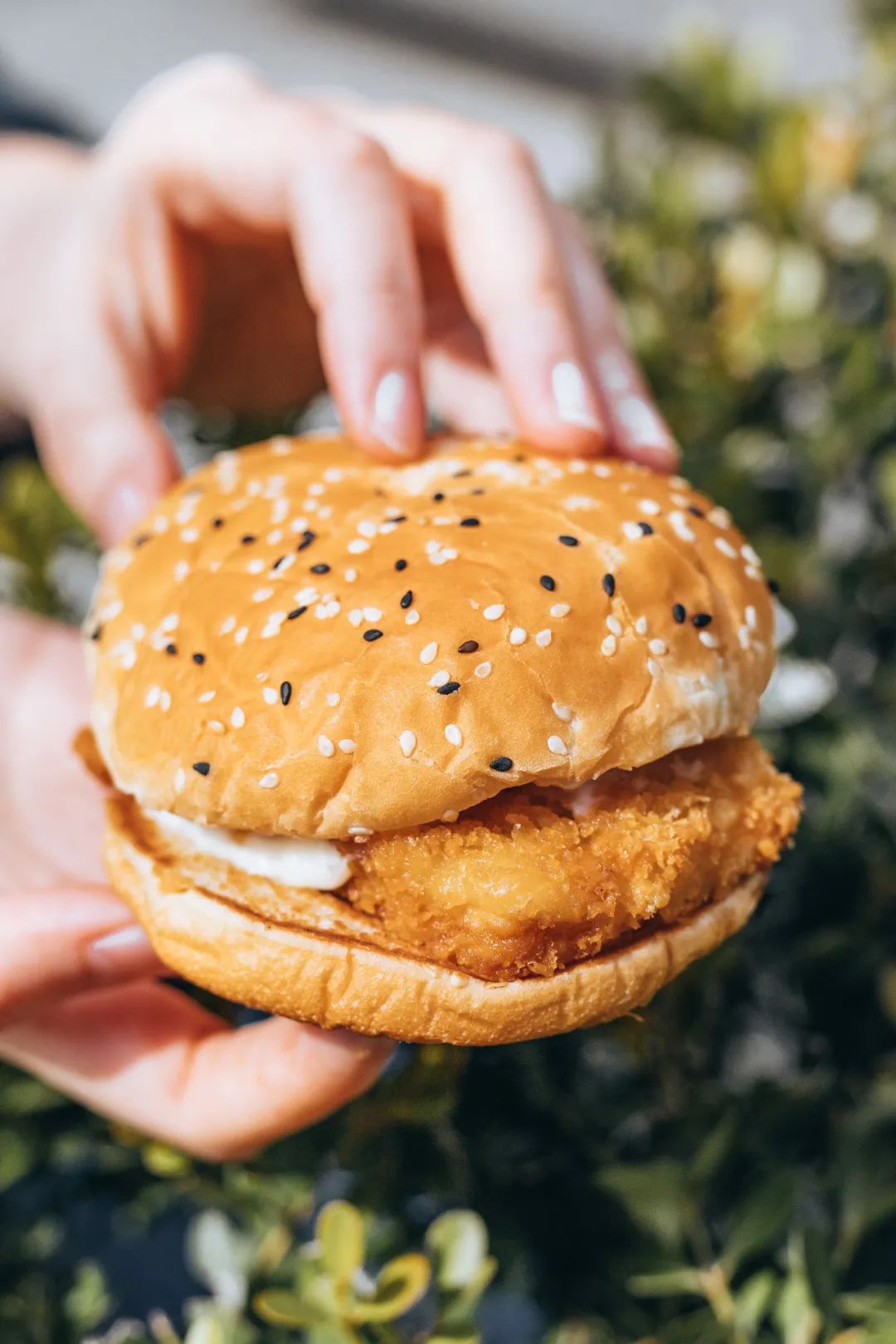 华莱士汉堡炸鸡薯条可乐鸡翅,华莱士为什么只有炸鸡汉堡