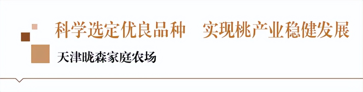 科学选择良种,科学种植发展现代农业