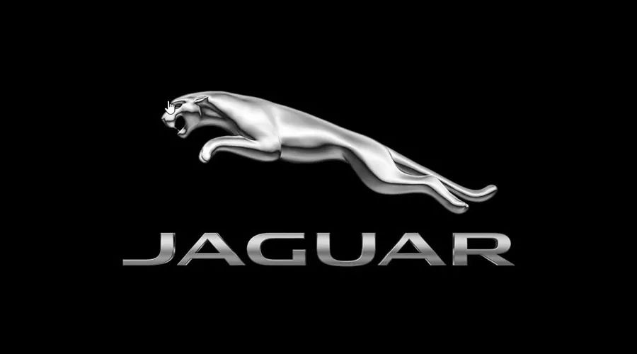 图形商标和logo区别,图形类型的标志有哪些