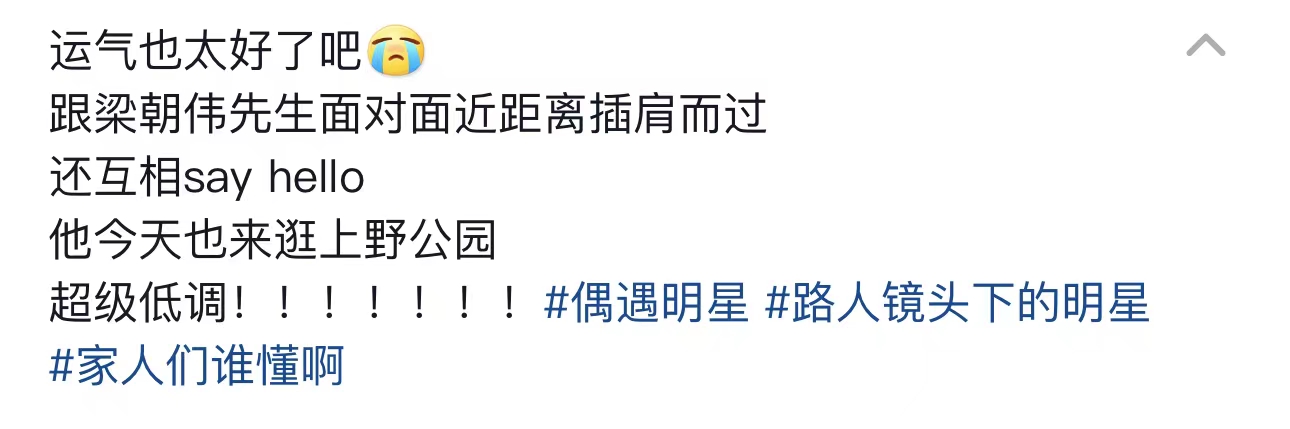 两天六个瓜：梁朝伟长居日本，李亚鹏欠债四千万，乐嘉为女人还俗