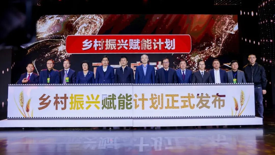 电商助力乡村振兴案例,乡村振兴创新创业电商助农视频