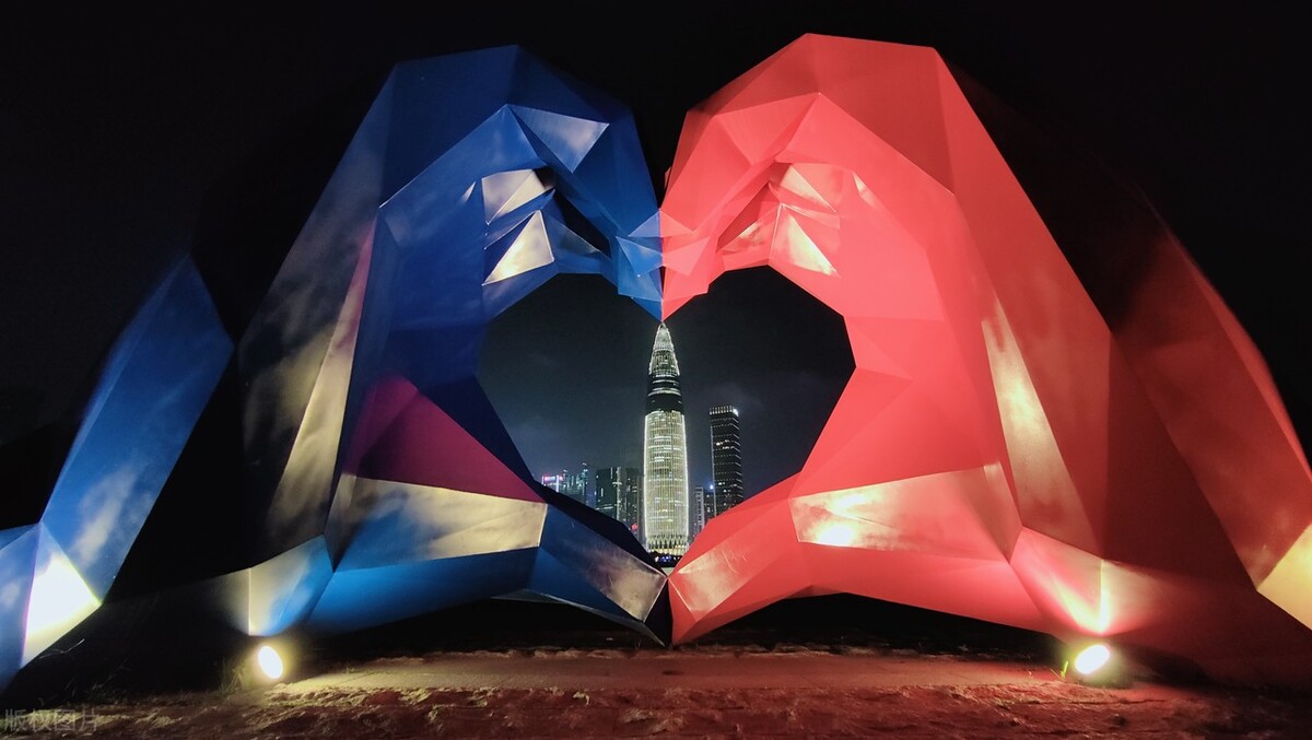 深圳湾公园为什么有海鸥呢,深圳湾公园有什么特点