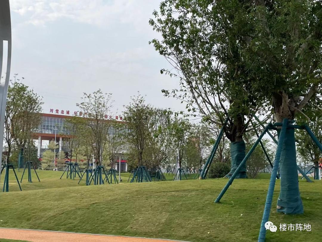 名校落地的影响,名校落地郑州高新区