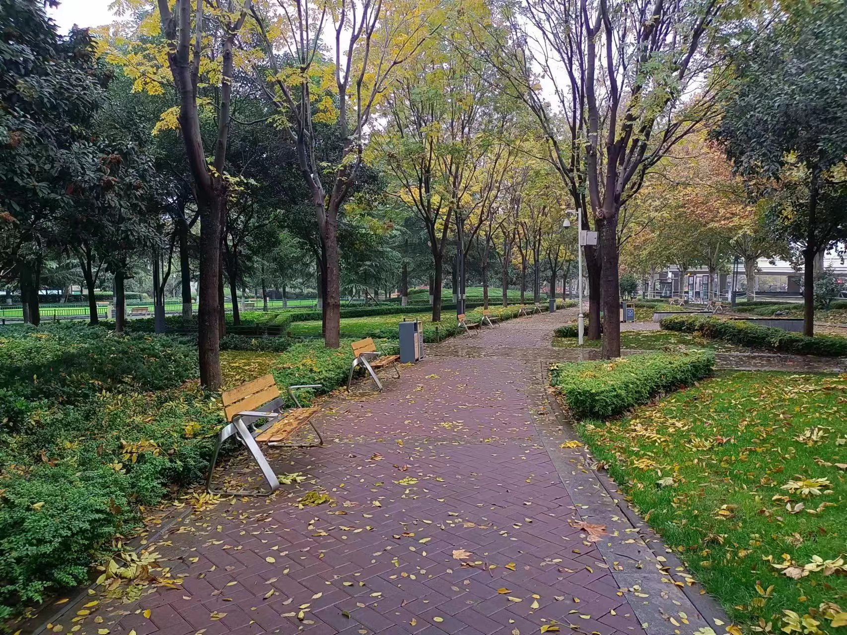 郑州免费开放的公园,郑州最新开放的公园