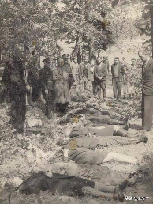 涓轰粈涔堣鎵撳嚮绾崇补,瑗挎柟涓哄暐鏀寔绾崇补