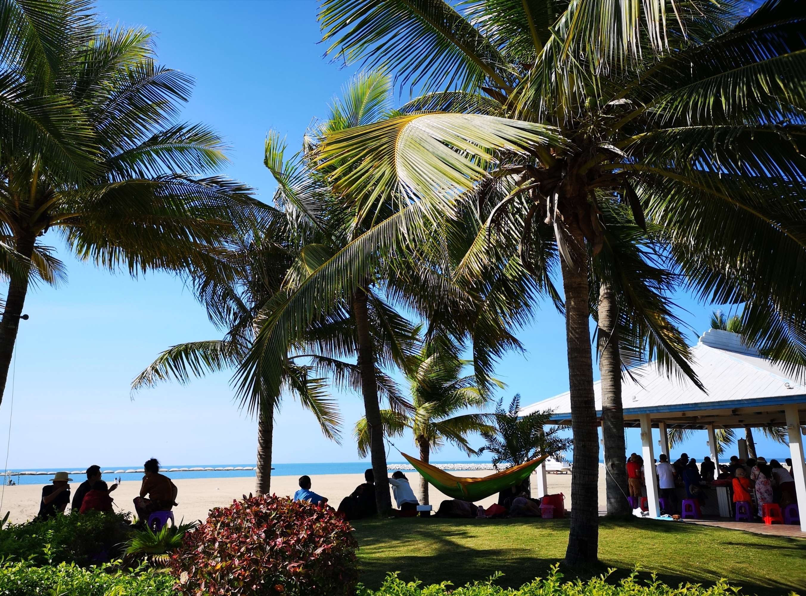 圆梦之园一一我的波波利海岸,下篇