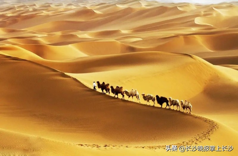 大雁号夕阳旅游专列10天游南疆,旅游专列西北六省区15日游