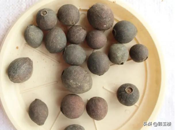 菠萝蜜种子效用,菠萝蜜种子煮熟的功效