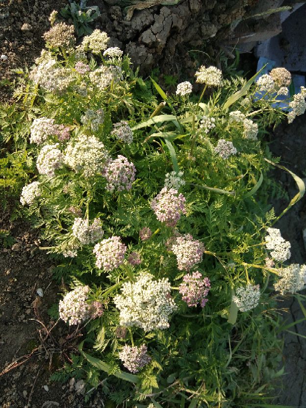 关于福报的诗句,福报耗尽的8大征兆