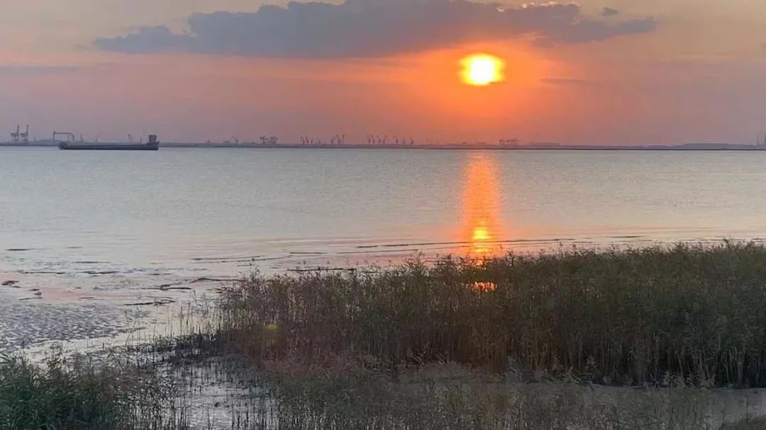 追着秋天的脚步走，无需出城尽享秋色攻略第二弹来了