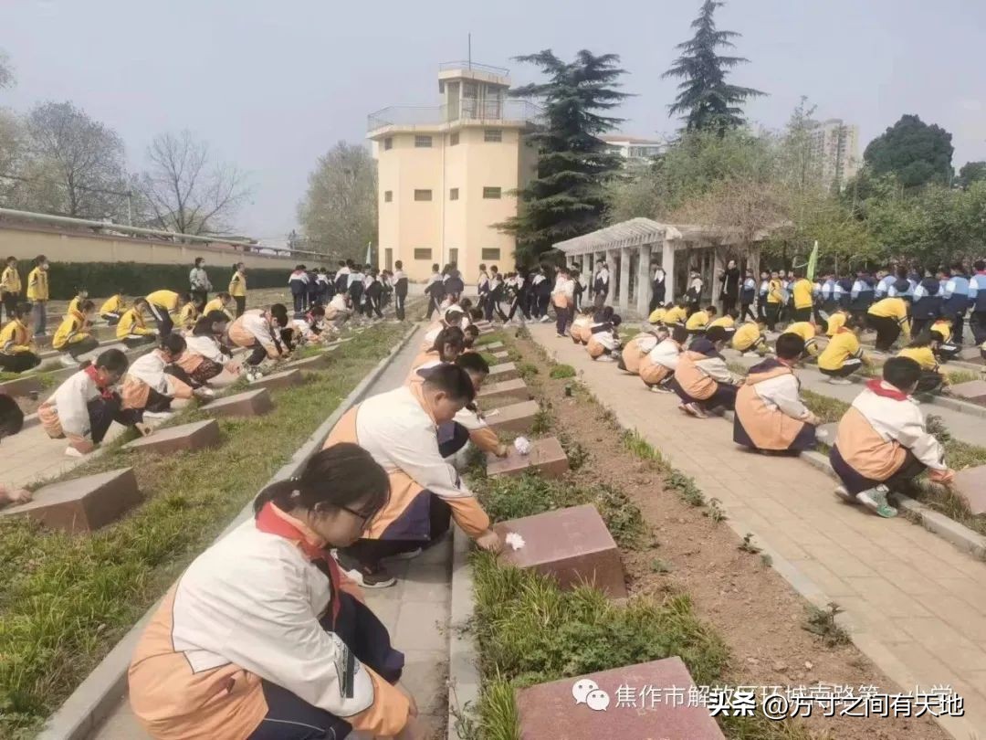 我们的节日清明主题活动情况汇报,我们的节日清明节活动开展情况