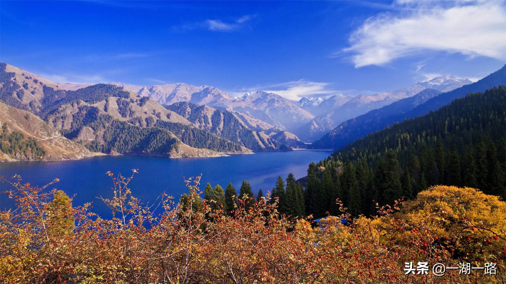 左宗棠收复全疆的史实,左宗棠如何收复全疆的