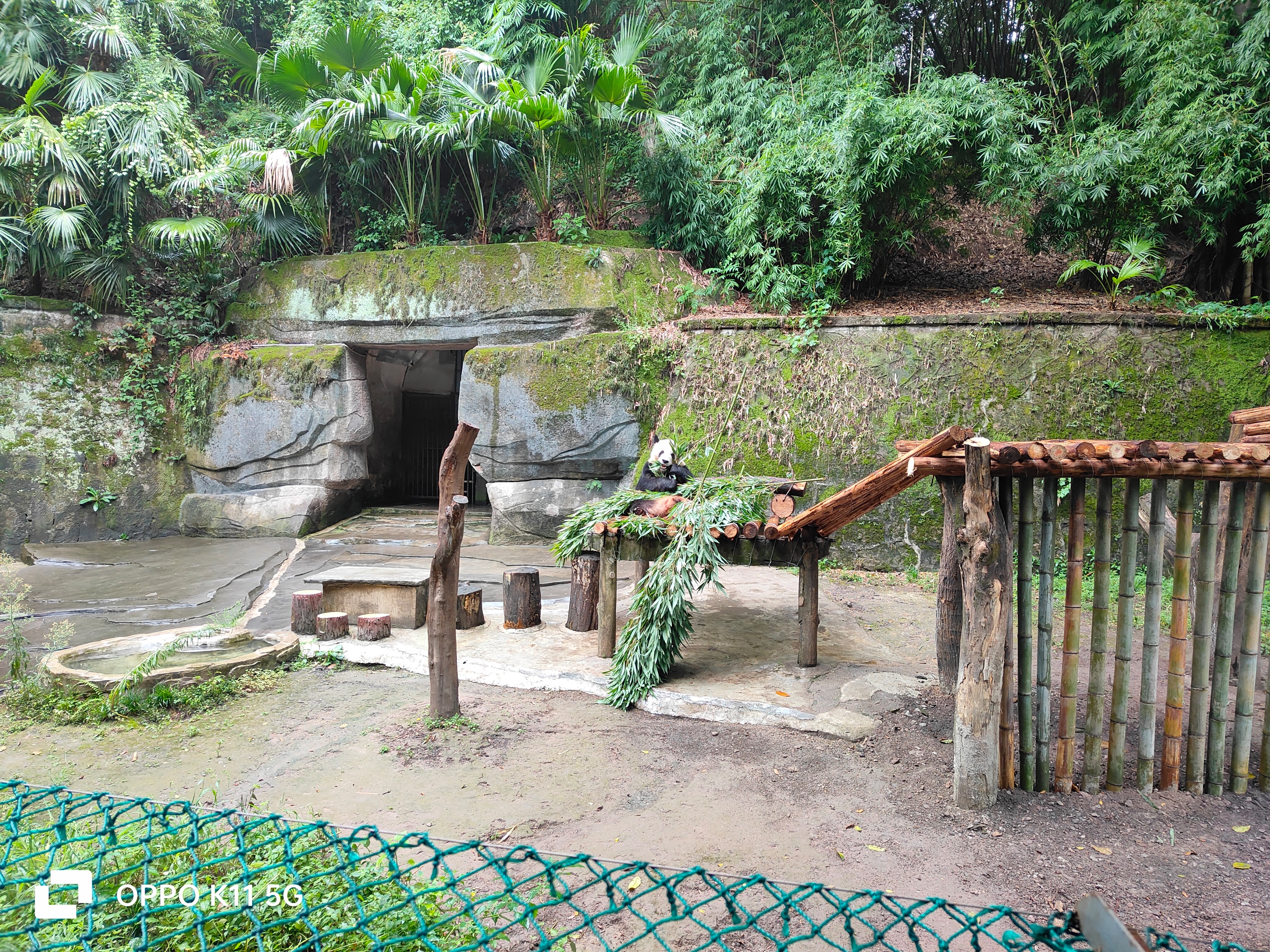 为什么oppok11画质不太好,oppok11为什么王者不能分屏