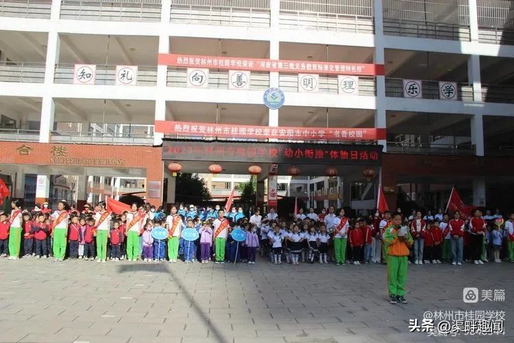 聚焦德育活动促学生全面发展,聚焦入学助力儿童成长公开课