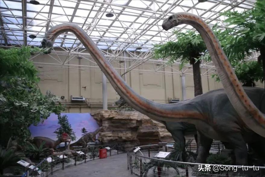 北京国家博物馆哪些值得打卡,北京市国家一二三级博物馆名单