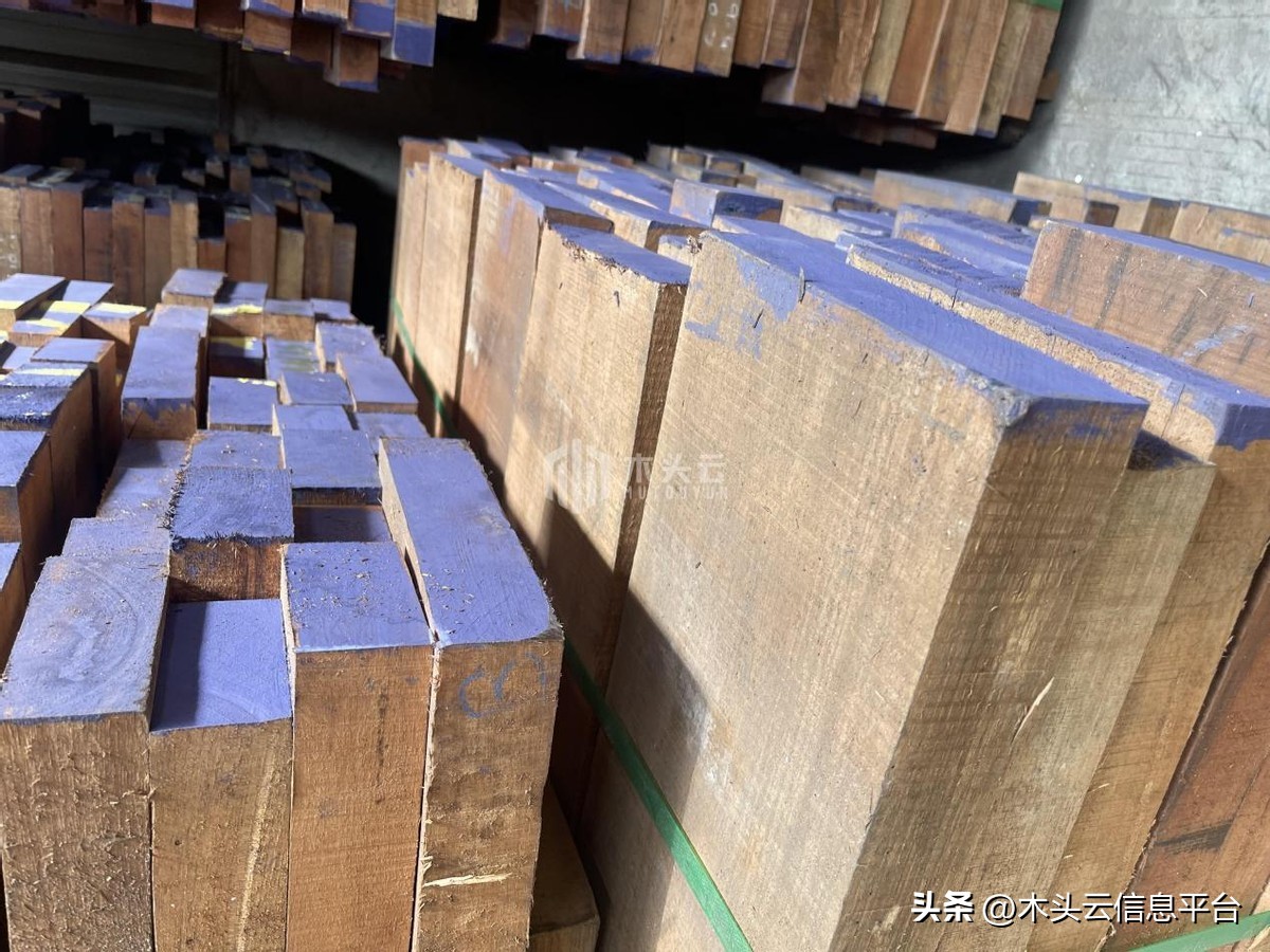 南洋金檀木有味道吗,南洋金檀木比较黄檀木哪个名贵