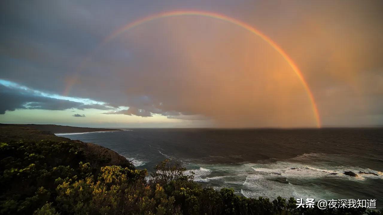 儿童成长记录册档案袋a4,孩子档案袋是啥