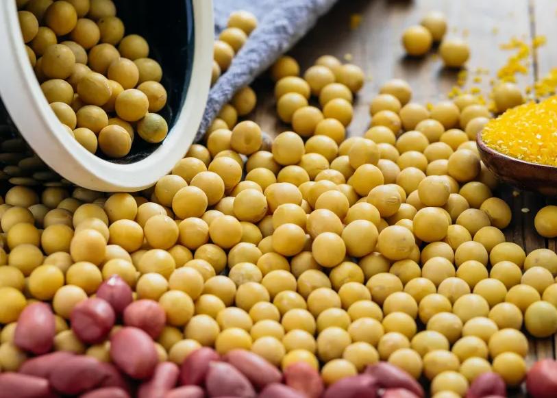 痛风已经忌口了为什么还一直发作,痛风为啥要忌口豆制品