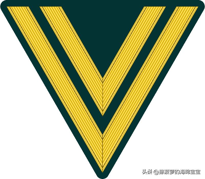 二战德国国防军医疗兵军衔标志