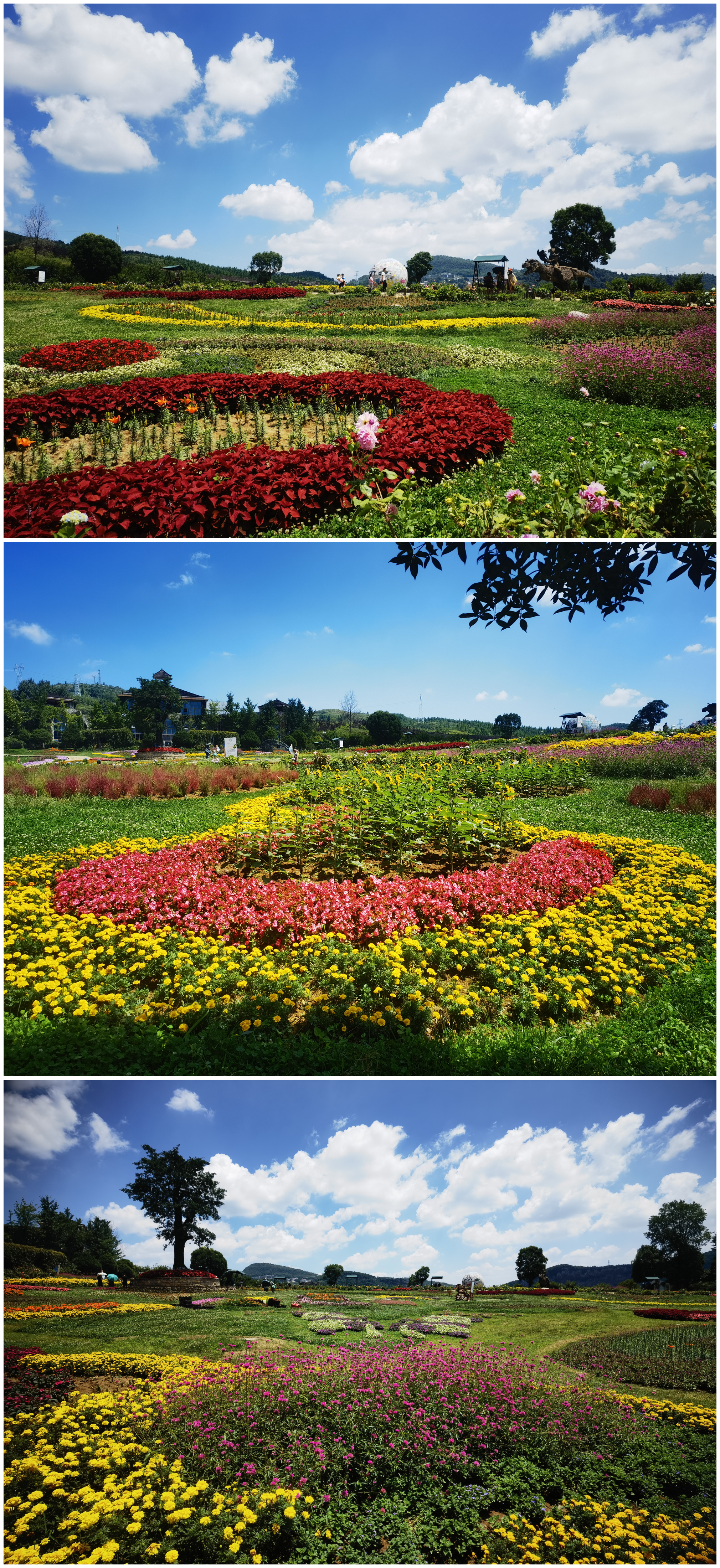 六盘水19度夏天,19度的夏天六盘水