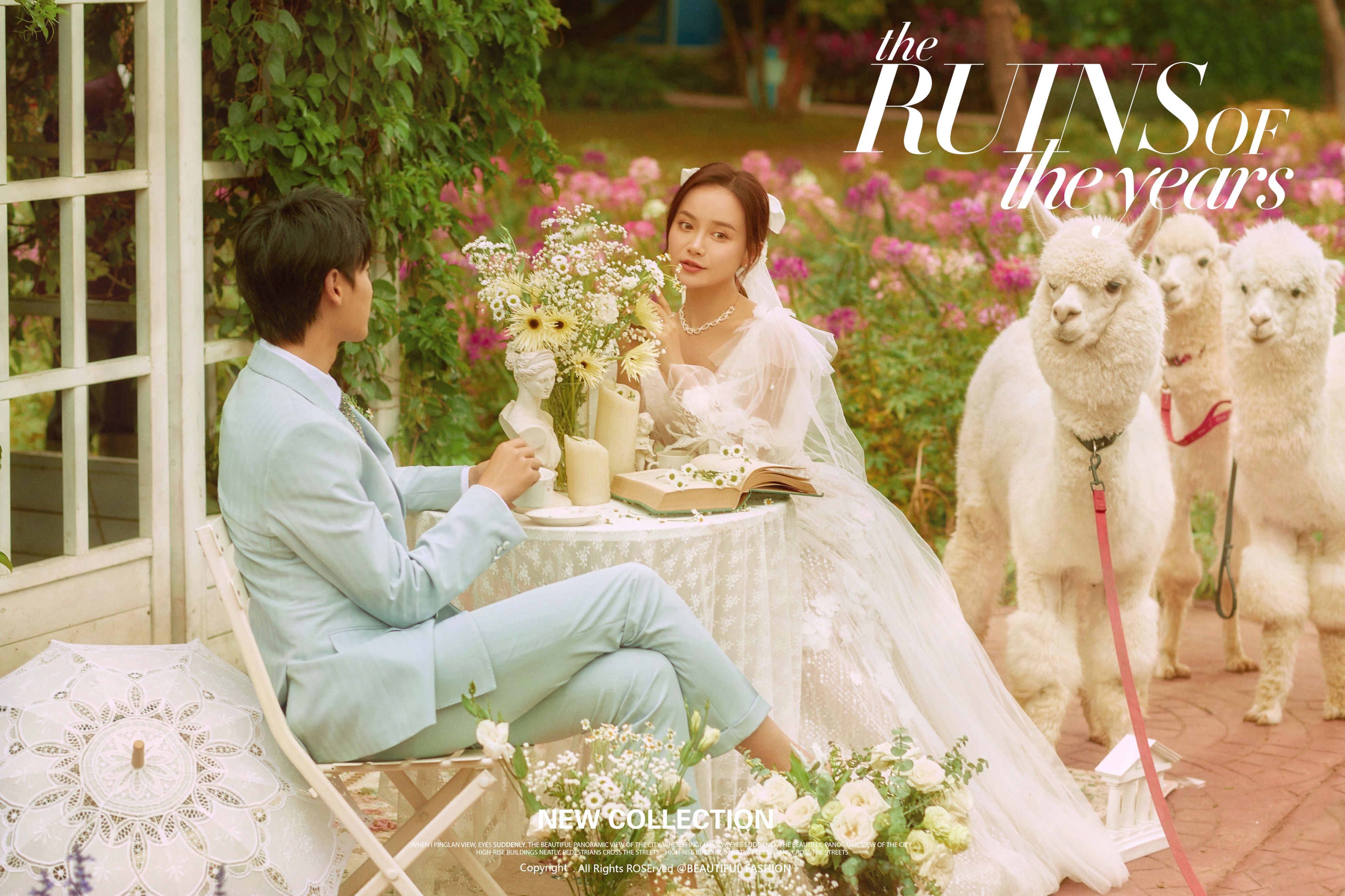 厦门婚纱照旅拍推荐哪家最好,厦门旅拍婚纱照推荐哪家好