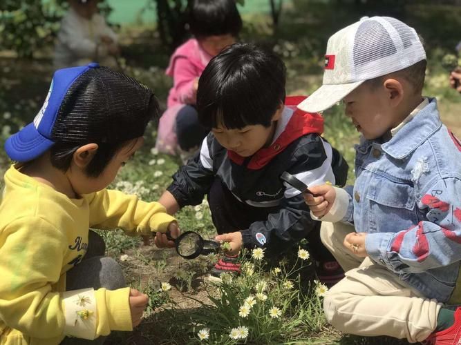 道的认知,道的七种层次