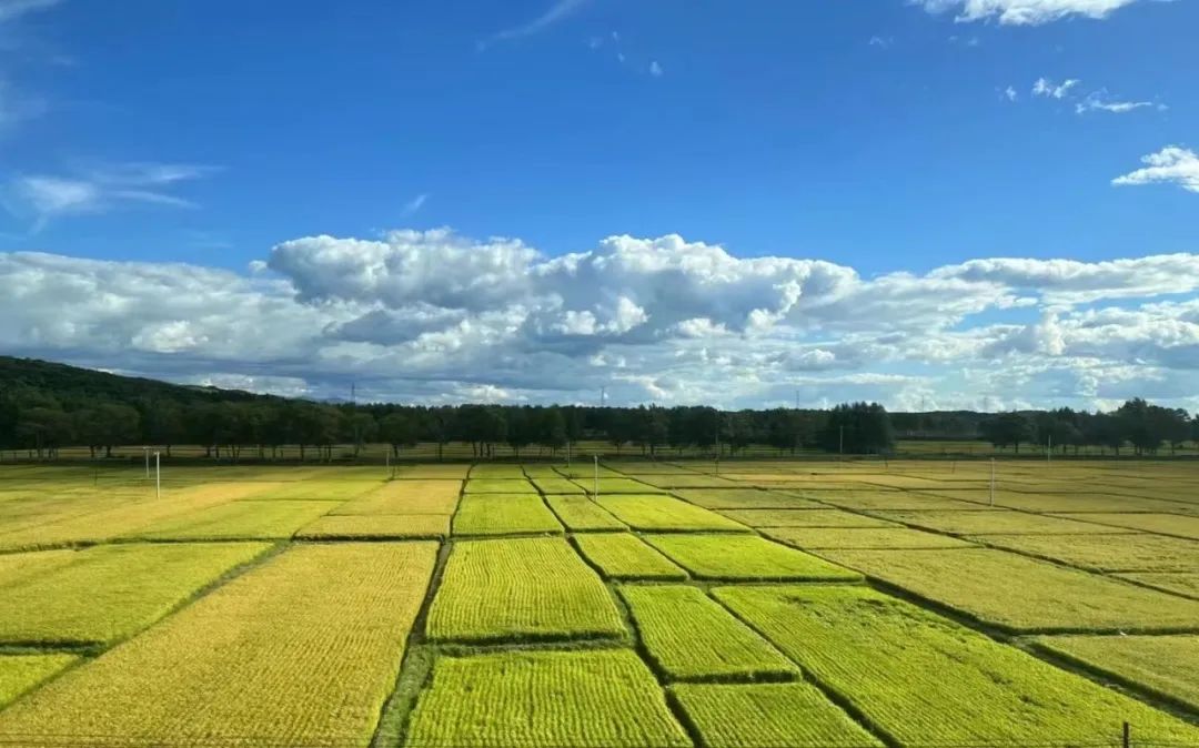 乡村振兴100讲全集,100个经典乡村振兴案例