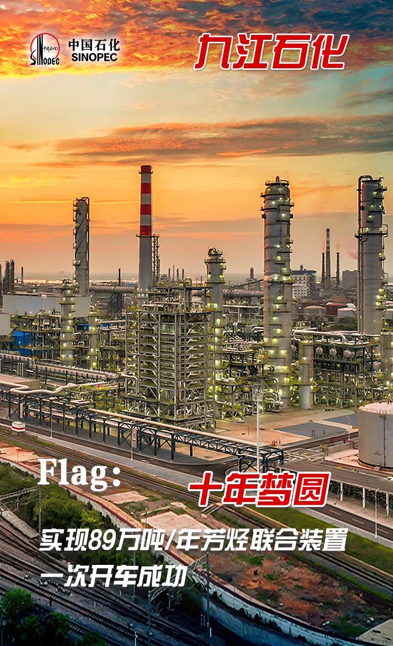 中国石化企业的现状,中国石化国内最新项目